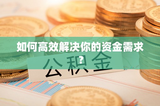 乐亭如何高效解决你的资金需求？