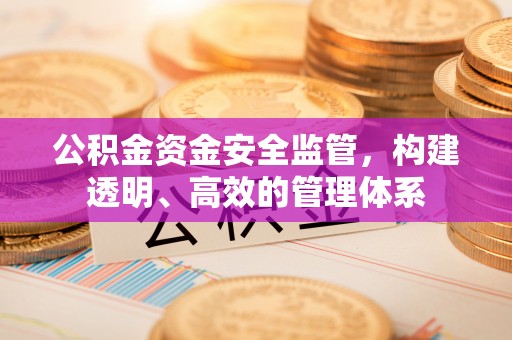 乐亭公积金资金安全监管，构建透明、高效的管理体系