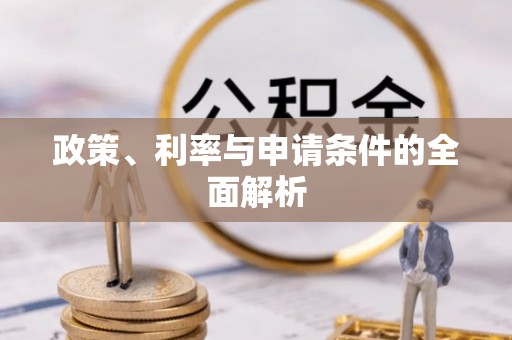 乐亭政策、利率与申请条件的全面解析