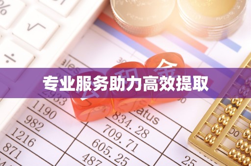 乐亭专业服务助力高效提取