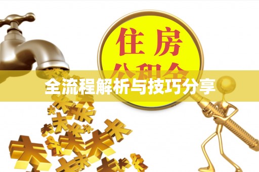 乐亭全流程解析与技巧分享