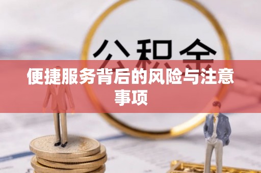 乐亭便捷服务背后的风险与注意事项